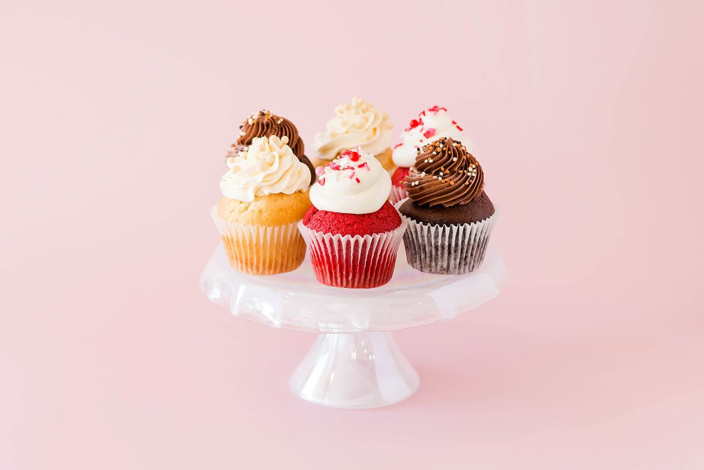 Bakery Cupcakes